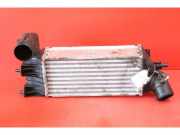 Ladeluftkühler Peugeot 607 () DAC005TT