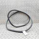 Türdichtungsgummi hinten links DS DS 7 Crossback (X74) 2.0 BlueHDi 180 9815699180