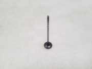 Einlassventile OPEL INSIGNIA A (G09) 2.0 CDTI (68)