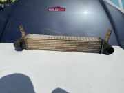 Kühlerluftumlenker FORD GALAXY (WGR) 1.9 TDI 1109138