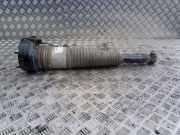 Stoßdämpfer links hinten Audi A8 (4H) 4H0616001M