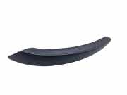Türpolsterverkleidung hinten links BMW X5 (E70) xDrive 40 d 70P314104