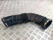 Andere Röhren RENAULT MASTER III Furgon (FV) 2.3 dCi 125 FWD (FV0C, FV0D)