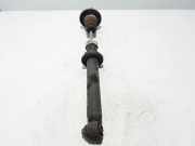 Stoßdämpfer hinten rechts