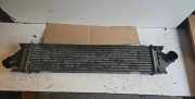 Ladeluftkühler FORD MONDEO IV Sedan (BA7) 2.0 TDCi 6G919L440FC
