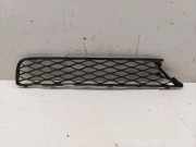 Gitter vorne unten MERCEDES-BENZ R (W251, V251) R 320 CDI 4-matic (251.022, 251.122) A2518850253