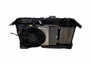 Kühler Citroen C4 II (B7) 9847019780