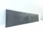 Türverkleidung links Fiat Ducato Kasten (250) 1308058070