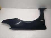 Kotflügel vorne links