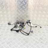 Kabel der vorderen linken Tür VW TIGUAN (5N_) 2.0 TDI 4motion 5N2971121