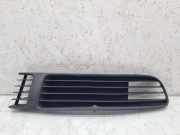 Kühlergrill unten VW Passat B5 (3B2) W9901701