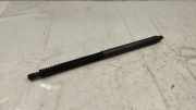 Heckklappe Gasdruckfeder links BMW 6 Coupe (F13) 650 i 7360584