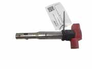 Zündspule AUDI Q5 (8R) SQ5 TDI quattro 06e905115e