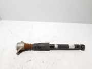 Stoßdämpfer rechts hinten Audi Q5 (FY) 80A513035N