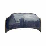 Motorhaube FIAT 500 (312_) 1.3 D Multijet