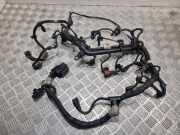 Motor Kabelbaum FIAT FIORINO Furgon/Estate (225_) 1.3 D Multijet 55227186