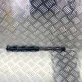 Heckklappe Gasdruckfeder links BMW 4 Coupe (F32, F82) 420 d 7295205