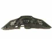Vorderer oberer Gitter NISSAN QASHQAI II (J11, J11_) 1.5 dCi 623124EA0D