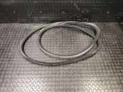 Türgummi links vorne Audi A8 (4E)