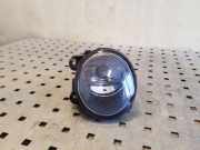 Nebelscheinwerfer links BMW X5 (E53) 3.0 d 63176920886 13101610