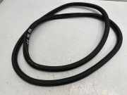 Dichtungsgummi der hinteren Tür (an der Karosserie) VW GOLF VIII (CD1) 1.0 TSI 5H4867914