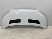 Motorhaube FORD TRANSIT 2.0 TDCi TKK31-A16612-AA
