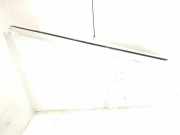 Schweller aus Kunststoff links MERCEDES-BENZ C Coupe (C205) C 220 d 4-matic (205.305) A2056906902 2056906902