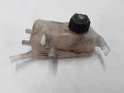 Ausgleichsbehälter RENAULT MEGANE III Hatchback (BZ0_) 1.5 dCi (KZ09, KZ0D, KZ1G, KZ1M, KZ1W) 217100005R