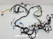 Kabelbaum Kia Sorento I (JC) 910902P060