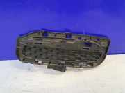 Gitter Grill vorne links JAGUAR XJ (X351) 3.0 FW9315K233AA