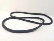 Dichtung für Koffer-/Laderaumklappe Nissan Qashqai (J10)