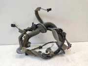 Kabel Tür vorne rechts RENAULT MEGANE III Hatchback (BZ0_) 1.6 dCi (BZ00, BZ12) 241250845R
