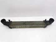 Ladeluftkühler MERCEDES-BENZ CLS (C219) CLS 320 CDI 3275377 A2115003902