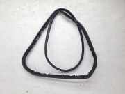 Türgummi links vorne Audi A6 Avant (4F, C6) 4F0831345B