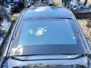 Dach mit Sonnendachausschnitt Tesla Model S (5YJS)