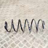 Federblatt links hinten Citroen C3 III (SX)