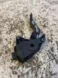 Fahrpedal Renault Kadjar (HA, HL) 180024BA0B