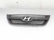 Kühlergrill komplett Hyundai Sonata V (NF)