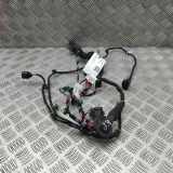 Kabel der vorderen linken Tür