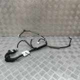 Türverkabelung hinten rechts HONDA CIVIC X Hatchback (FC_, FK) 2.0 Type-R (FK8) 32753-TGH-G001
