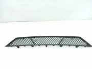 Gitter vorne unten BMW 5 Gran Turismo (F07) 530 d 51117200729
