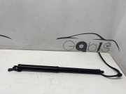 Heckklappe Gasdruckfeder rechts TOYOTA RAV 4 V (XA50) 2.5 Hybrid (AXAH52) 6891042060