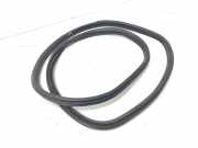 Türdichtung BMW X3 (F25)