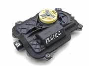 Türzieher hinten links