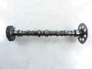 Exzenterwalze FIAT PANDA (169_) 1.3 D Multijet 4x4 46823507