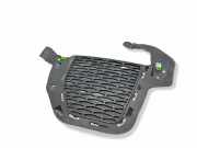 Gitter vorne unten LAND ROVER RANGE ROVER EVOQUE (L538) 2.0 D 4x4 GJ3215A299B