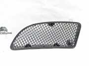 Ziergitter Mercedes-Benz SLK (R171) A1718300518