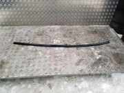 Dachleiste links JAGUAR XF (X250) 2.2 D