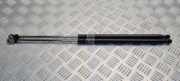 Heckklappe Gasdruckfeder links LEXUS IS II (GSE2_, ALE2_, USE2_) 220d (ALE20)