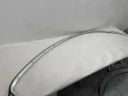 Dachleiste links VW PASSAT CC (357) 2.0 TDI